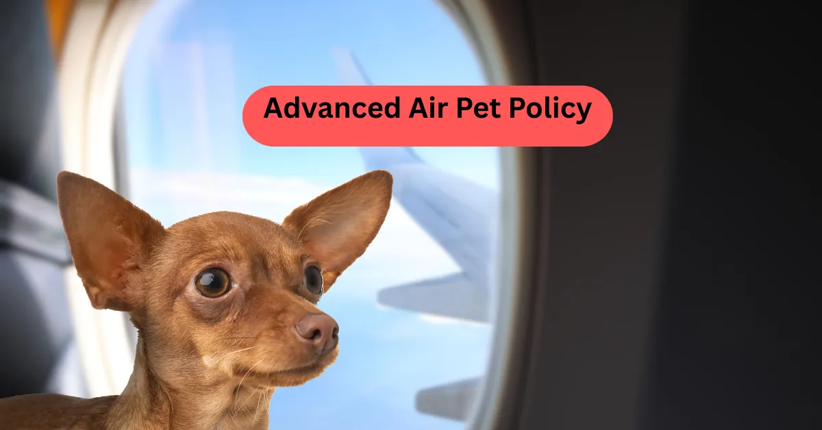 Advanced Air Pet Policy