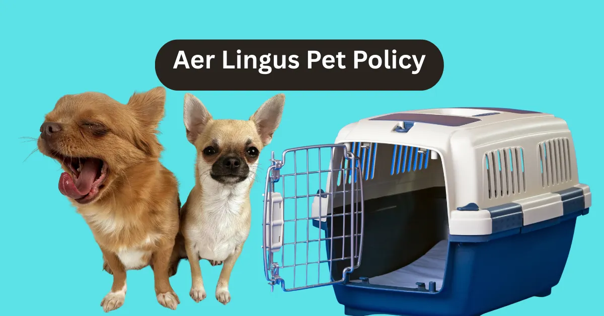Aer Lingus Pet Policy