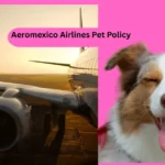 Aeromexico Airlines Pet Policy