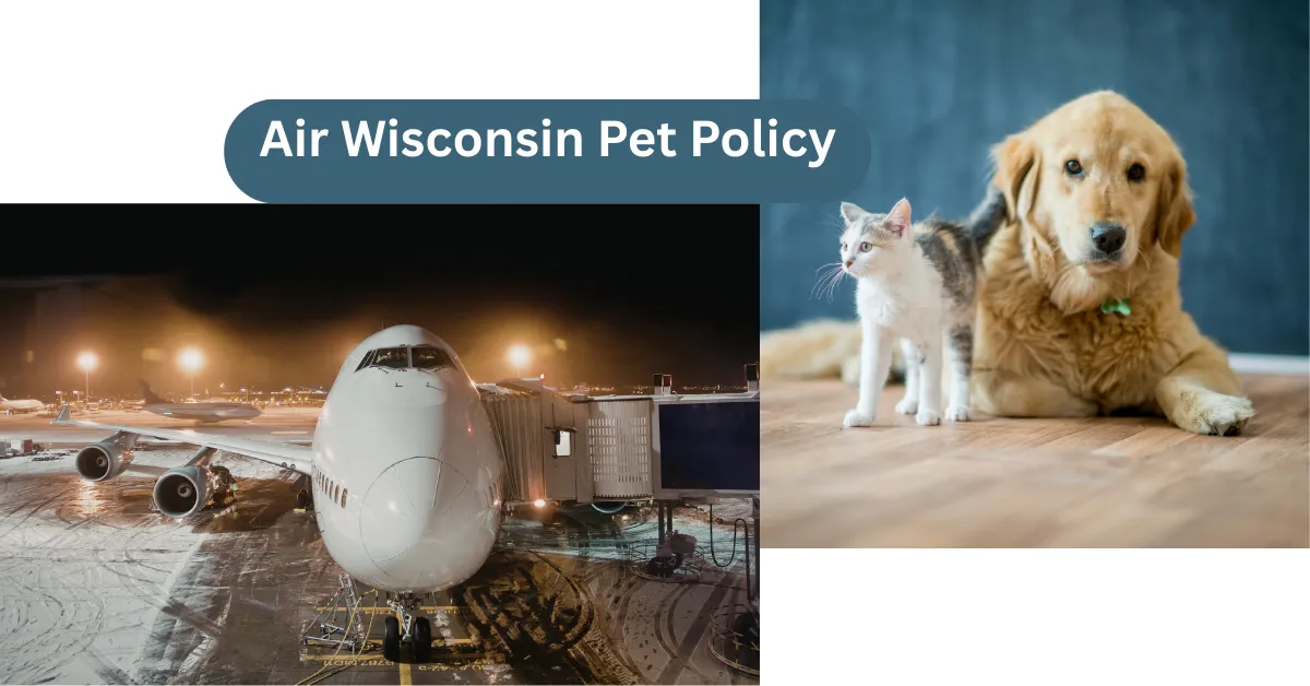 Air Wisconsin Pet Policy