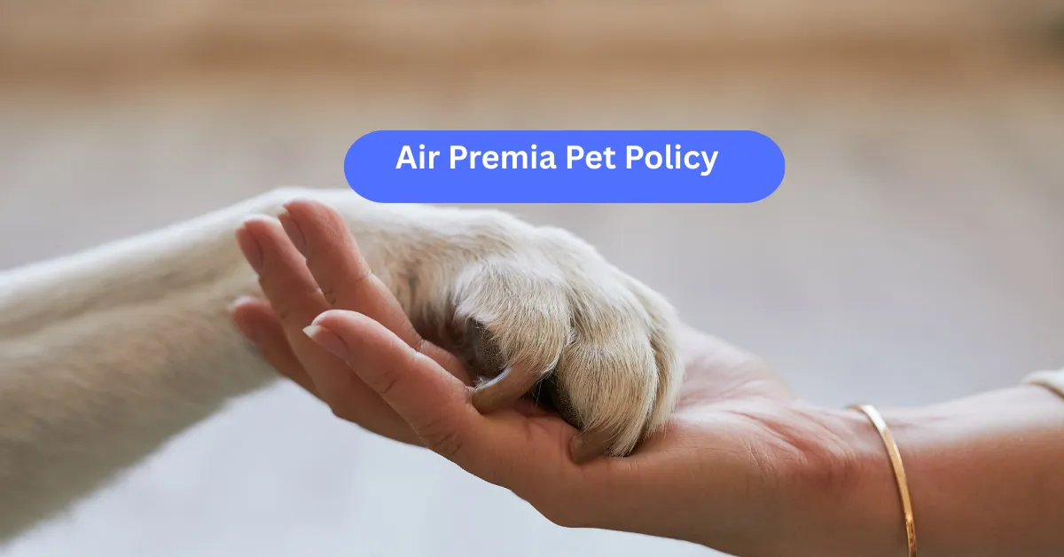 Air Premia Pet Policy