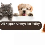 All Nippon Airways Pet Policy