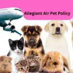 Allegiant Air Pet Policy