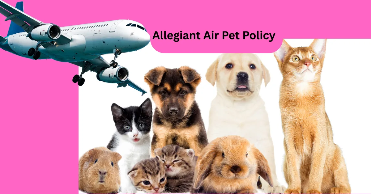 Allegiant Air Pet Policy