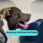 American Airlines Pet Policy