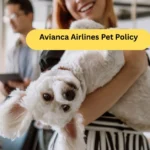 Avianca Airlines Pet Policy
