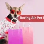 Bering Air Pet Policy