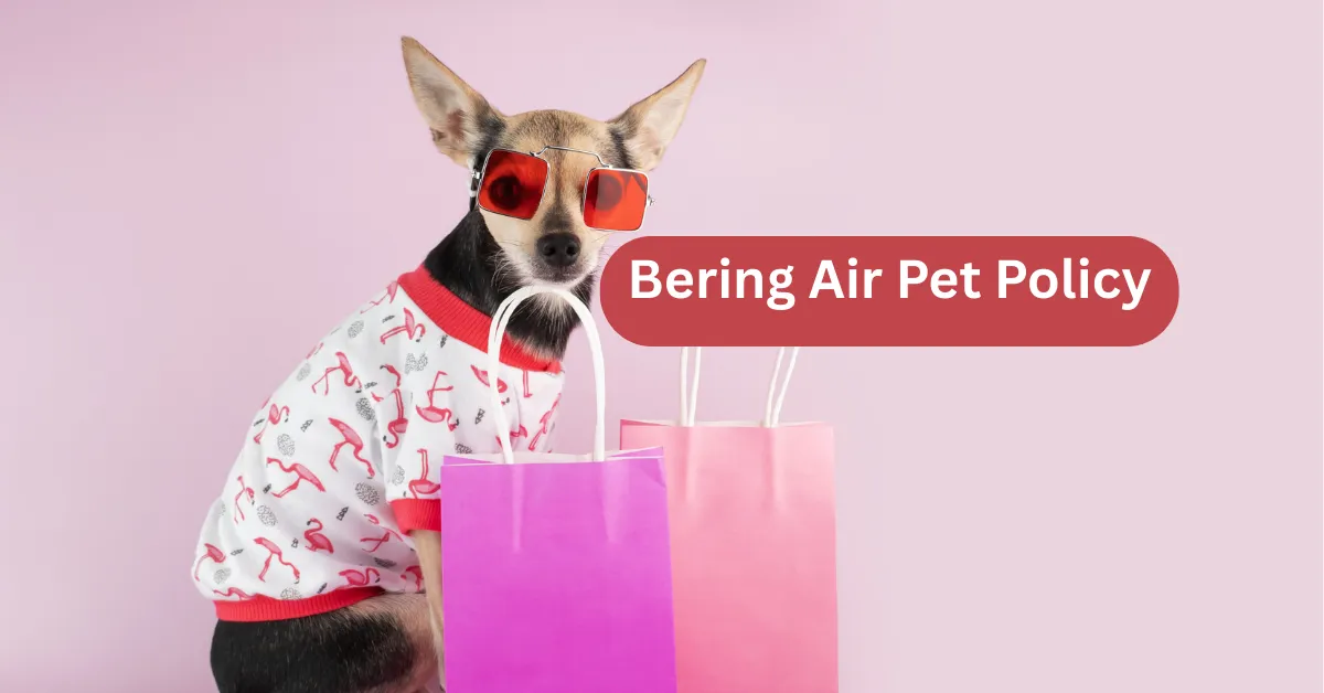 Bering Air Pet Policy