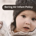 Bering Air Infant Policy