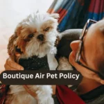 Boutique Air Pet Policy