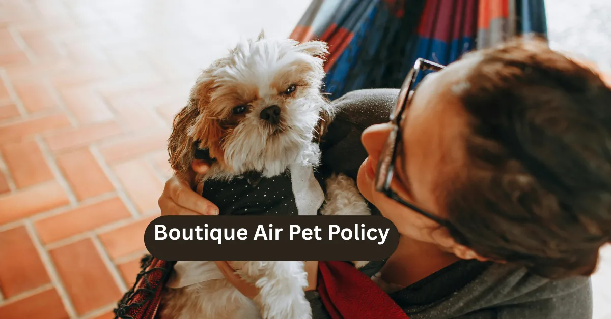 Boutique Air Pet Policy