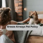 Breeze Airways Pet Policy
