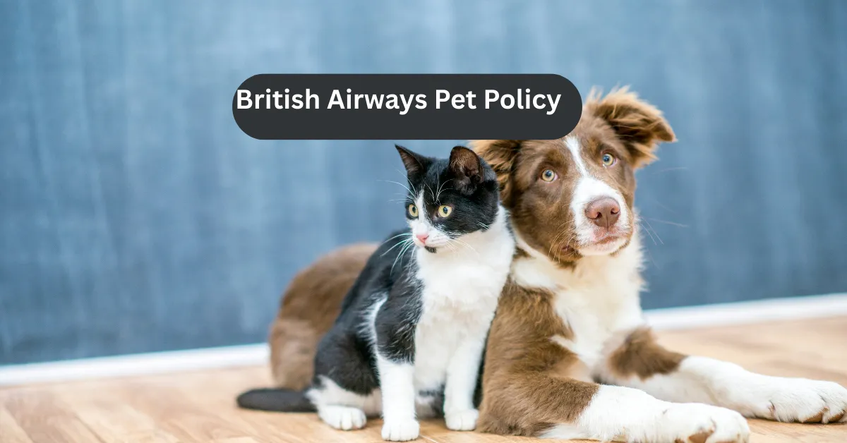 British Airways Pet Policy