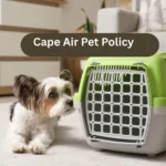 Cape Air Pet Policy
