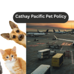 Cathay Pacific Pet Policy