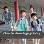 China Southern Baggage Policy