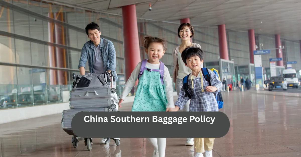 China Southern Baggage Policy