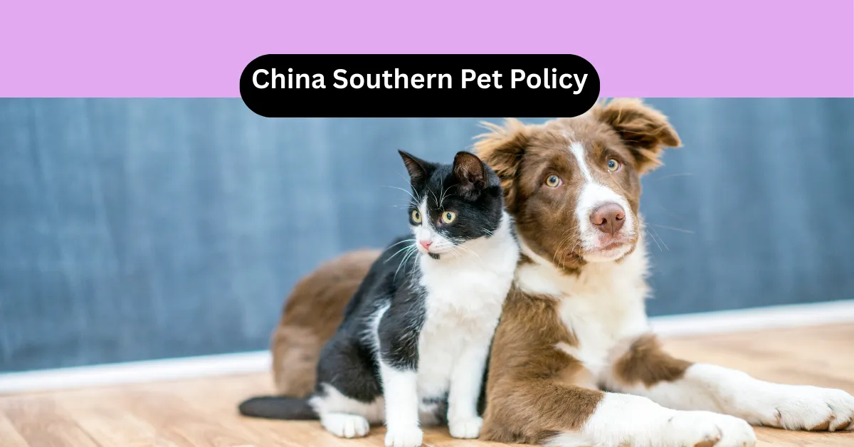 China Southern Pet Policy