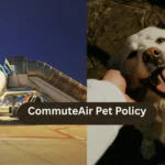 CommuteAir Pet Policy