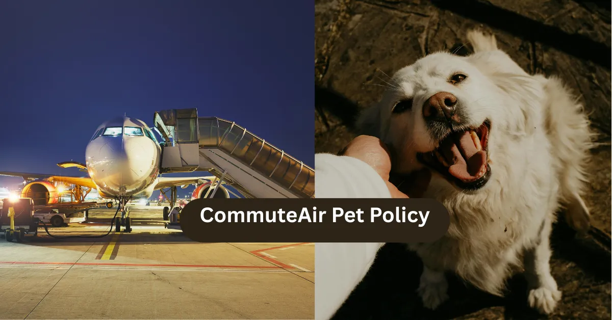 CommuteAir Pet Policy