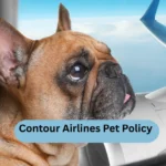 Contour Airlines Pet Policy