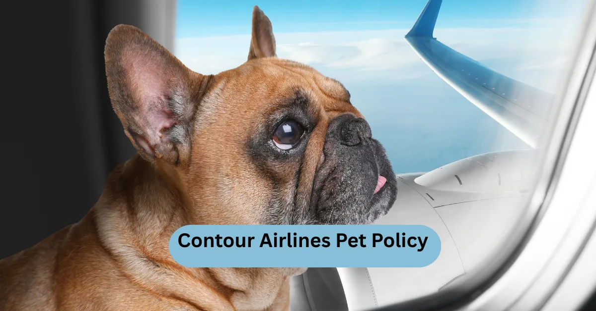 Contour Airlines Pet Policy