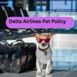 Delta Airlines Pet Policy