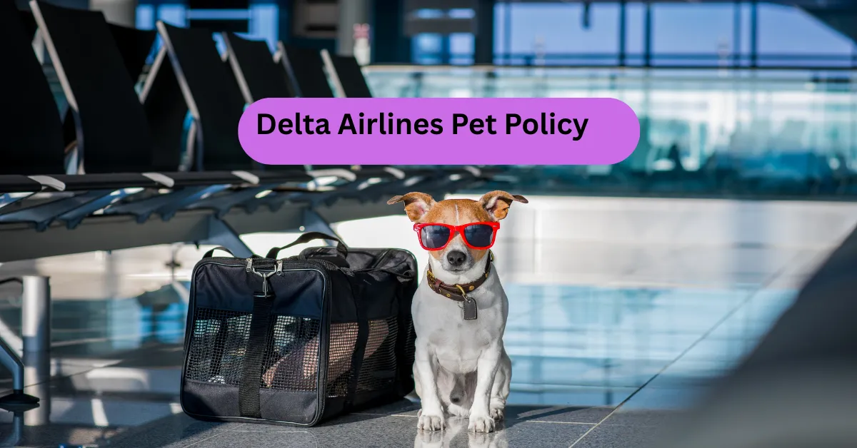 Delta Airlines Pet Policy