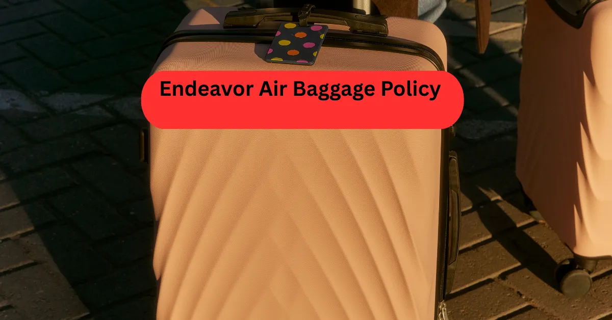 Endeavor Air Baggage Policy