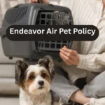 Endeavor Air Pet Policy