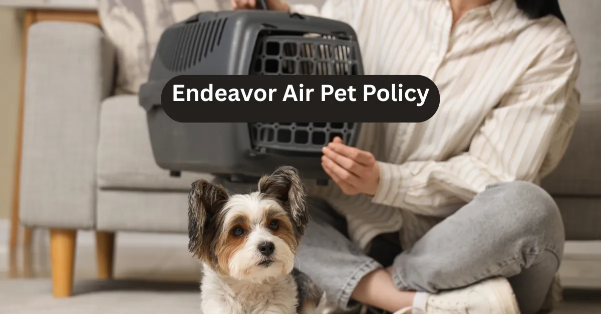 Endeavor Air Pet Policy