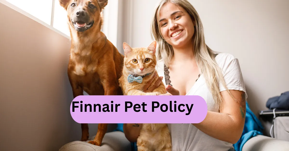 Finnair Pet Policy