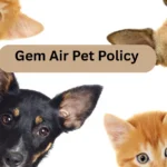 Gem Air Pet Policy