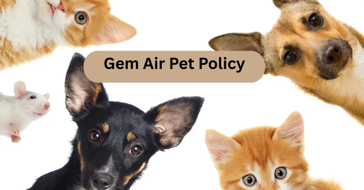 Gem Air Pet Policy