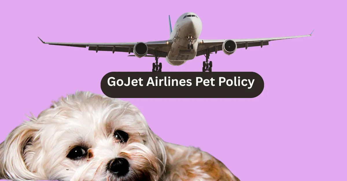 GoJet Airlines Pet Policy