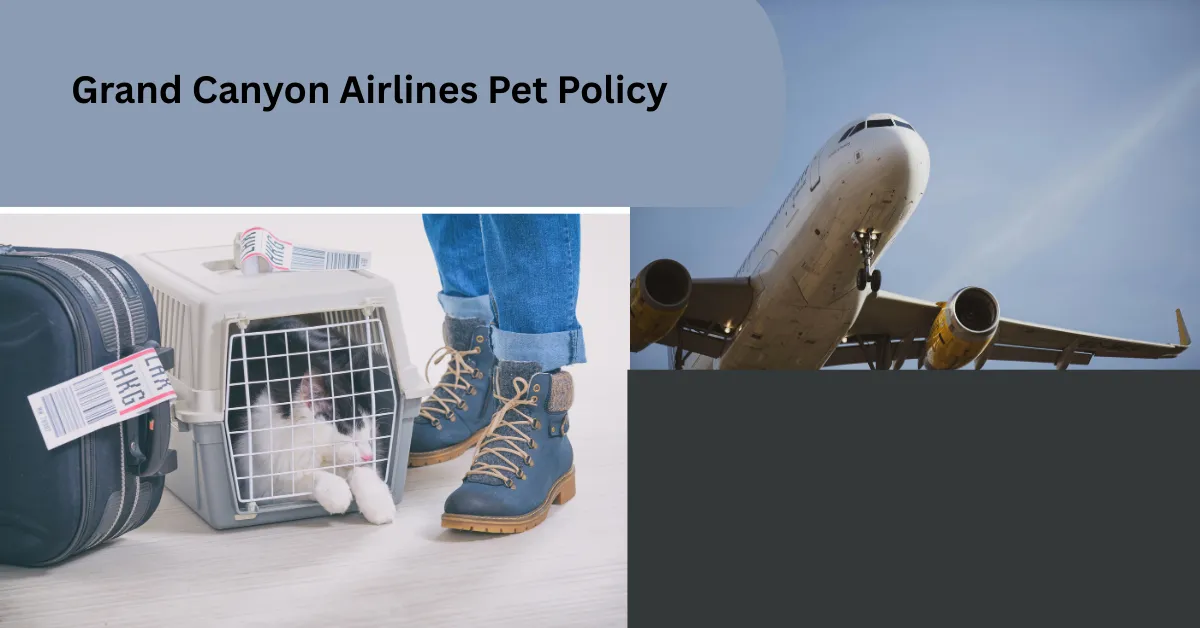 Grand Canyon Airlines Pet Policy