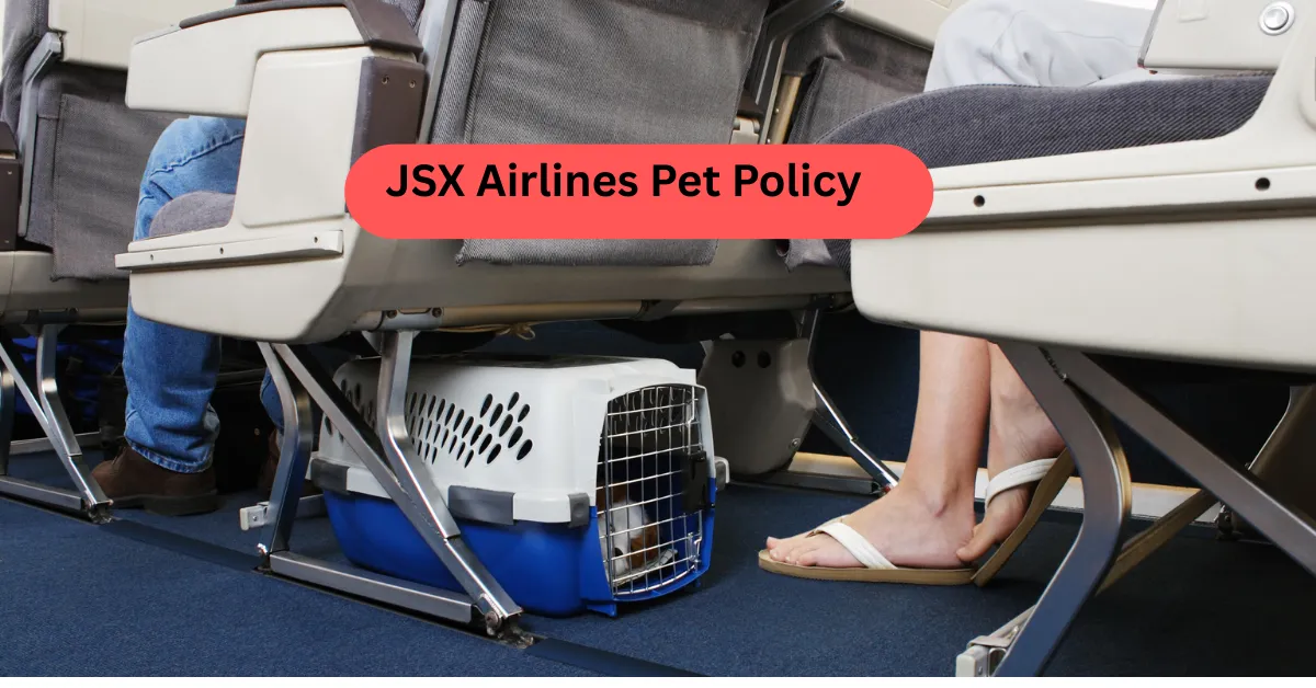 JSX Airlines Pet Policy