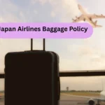 Japan Airlines Baggage Policy