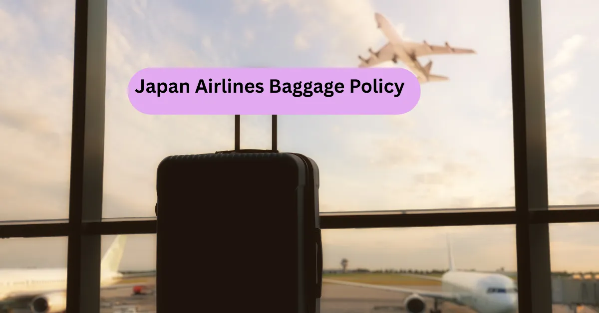 Japan Airlines Baggage Policy