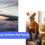 Japan Airlines Pet Policy