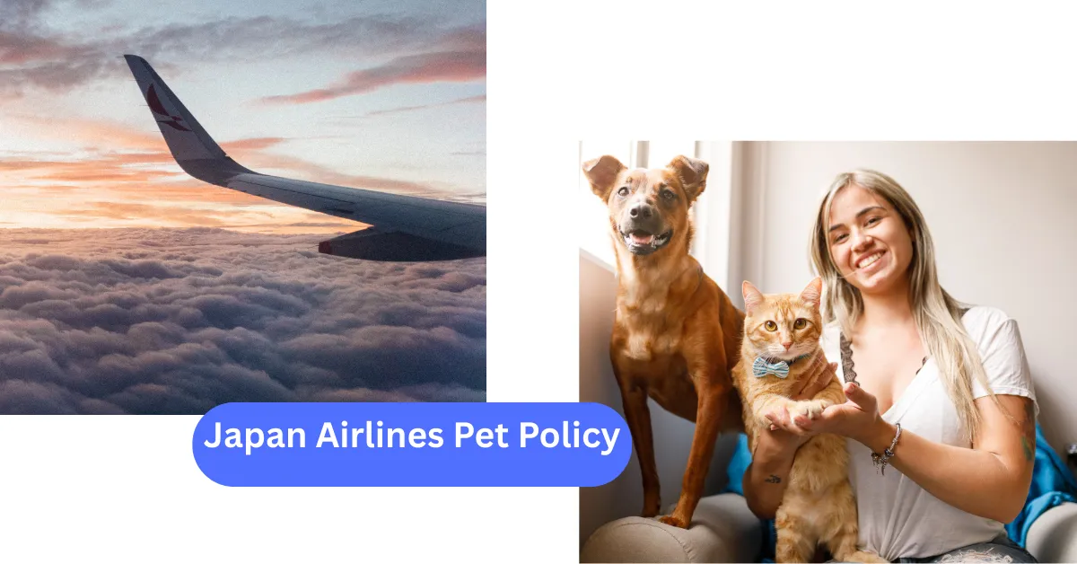 Japan Airlines Pet Policy