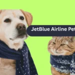 JetBlue Airline Pet Policy