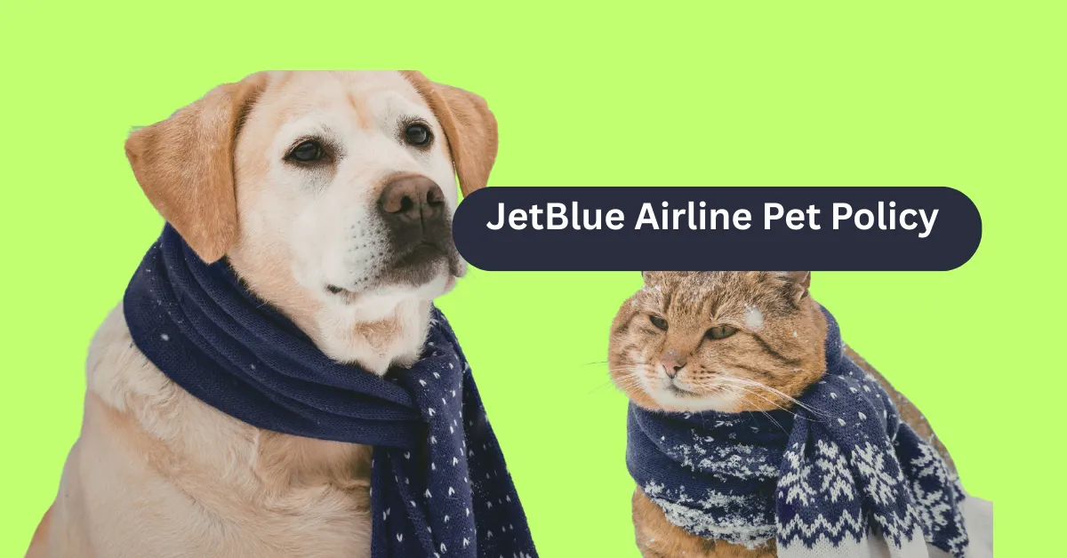 JetBlue Airline Pet Policy