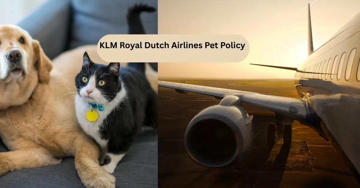 KLM Royal Dutch Airlines Pet Policy
