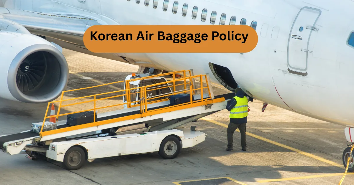 Korean Air Baggage Policy