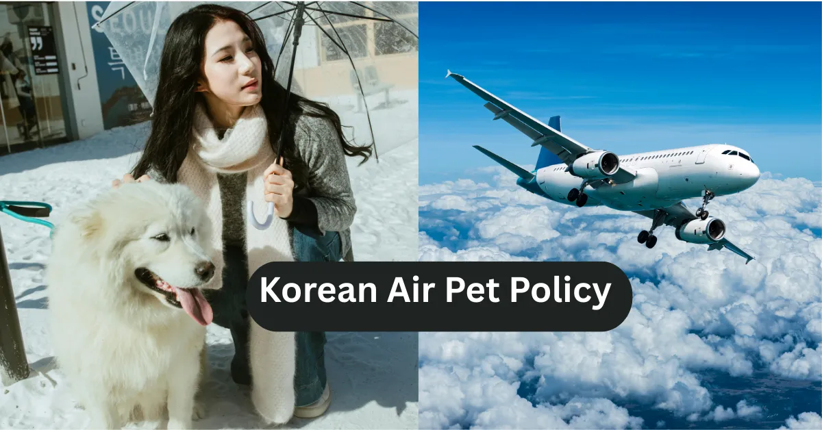 Korean Air Pet Policy