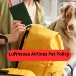 Lufthansa Airlines Pet Policy