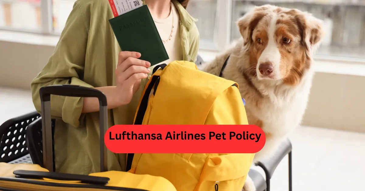Lufthansa Airlines Pet Policy