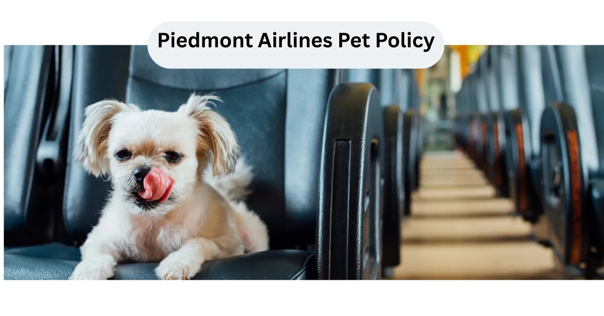 Piedmont Airlines Pet Policy
