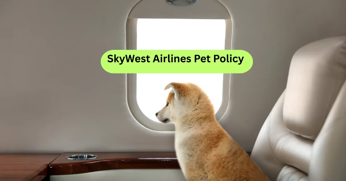 SkyWest Airlines Pet Policy